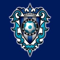 Avispa Fukuoka