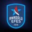 Anadolu Efes S.K.