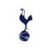 Tottenham Hotspur Women