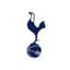Tottenham Hotspur Women