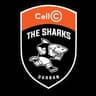 Sharks Rugby