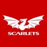 Scarlets Rugby