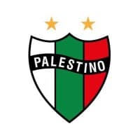 Club Deportivo Palestino