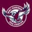 Manly Warringah Sea Eagles