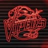 Rio Grande Valley Vipers