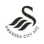 Swansea City AFC