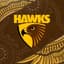 Hawthorn Football Club