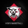 Davidson Wildcats Men's Basketball