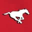 Calgary Stampeders