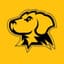 UMBC Retrievers Women's Basketball