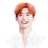 Lee Jong Suk