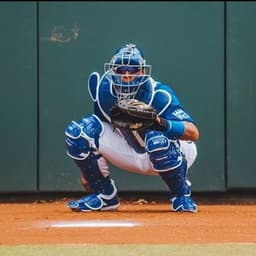 Salvador Perez