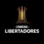 Copa Libertadores Brasil