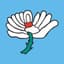 Yorkshire CCC