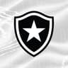 Botafogo de Futebol e Regatas