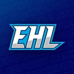 Esport hokejová liga