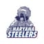 Haryana Steelers