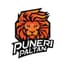 Puneri Paltan