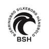 Bjerringbro-Silkeborg Håndbold