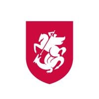 Georgia Football Team