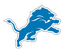 Detroit Lions